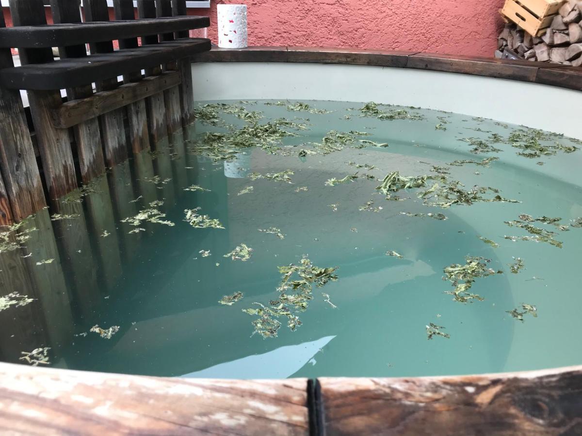 Ferienwohnung Donautaler Wohlfühloase Gundelfingen an der Donau Exterior foto